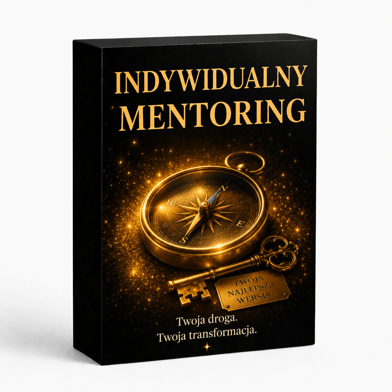 Indywidualny Mentoring